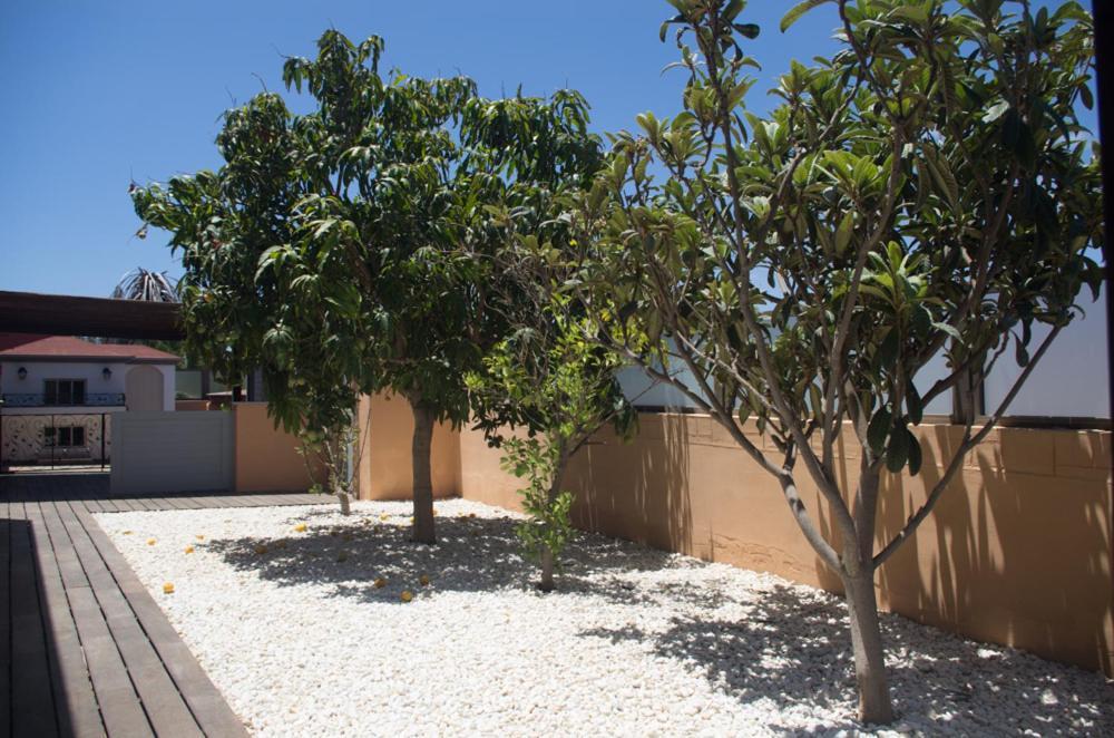 Villa La Marosca - Jacuzzi, Private Pool, 3 Bedrooms كاليتا ذي فوستي المظهر الخارجي الصورة
